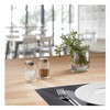 Westmark Salt Shakers, Pack of 10, Capacity: 50 ml each,