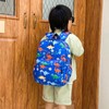Asheyya Dinosaur Toddler Backpack Boy, Mini Dinosaur Bag for 3-7