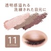 Cezanne Tone Up Eye Shadow 11 Taupe Brown 2.7g Tri-Color