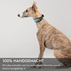 FAVPET Hand-Painted Genuine Leather Greyhound Collar Wide with QR Code