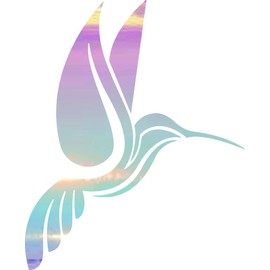 NBFU Decals Hummingbirds Bird Fly Animal 2 (Holographic Opal Purple) (Set of 2) Premium Waterproof Vinyl Decal Stickers Laptop Phone Accessory Helmet Car Window Bumper Mug Tuber Cup Door Wall