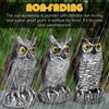 3-Pack Owl Decoys for Bird Deterrent - Weatherproof Bird Repellent