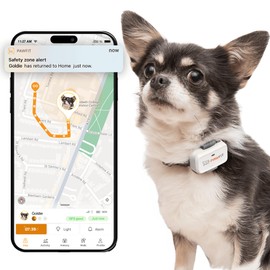 Pawfit Lite for Dogs 4g GPS Tracker | Real Time Tracking | Activity Monitoring |Location History | Unlimited Range | Safety Collar Included | Simply White
