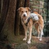 Nonstop Trail light dog backpack (Large)