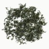 GOARTEA 50g / 1.76oz Supreme Seven Leaf Jiaogulan Gynostemma Chinese