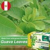 Hanan Peruvian Secrets Guava Leaves 25 Teabags - 100% Natural