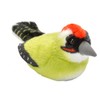 Wild Republic 19499 13-16 cm Birds Woodpecker with Real Bird