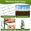 32.6In Plant Trellis for Climbing Plants | 2 Pack Monstera