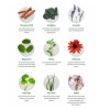Dental Herbs Healthy Gums Starter Kit – Fluoride-Free, Alcohol-Free with