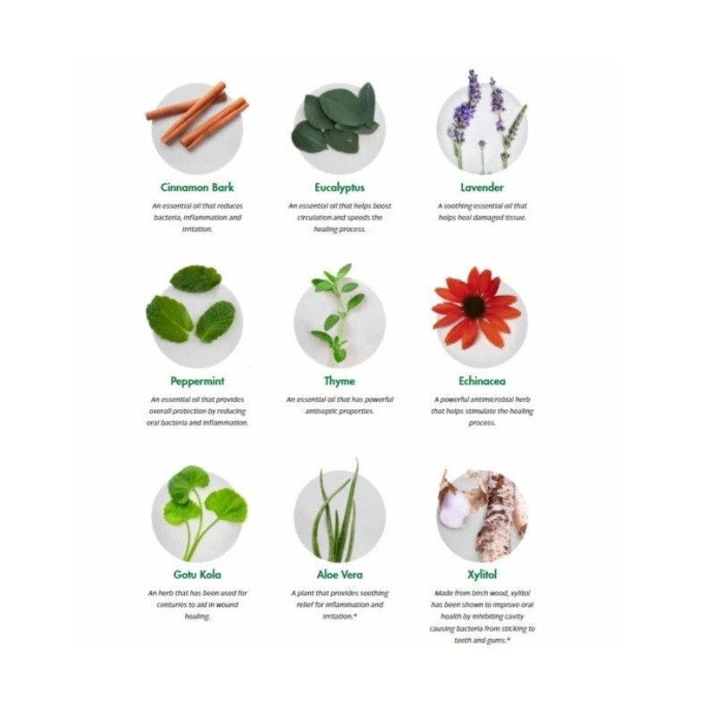 Dental Herbs Healthy Gums Starter Kit – Fluoride-Free, Alcohol-Free with