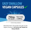 Creatine Monohydrate Capsules | 360 Capsules | 3000mg Per Serving