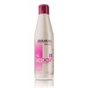 SALERM - Repair Shampoo - Hi Repair Shampoo - 250