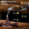Fumino® Black Noir Fresh Incense Cones 20 per Box Masala