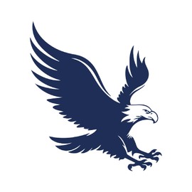 Tattwo.me 2 Week Waterproof Temporary Plant Tattoos - Eagle - EU Compliance - Vegetable Ink - Tattoo Pad Size: 9 x 9 cm (M0147)