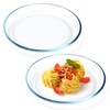 NUTRIUPS 2 Pack 9 inch Glass Plates, Clear Tempered Glass