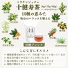 Takayama Tea Garden Tokenju Tea 0.1 oz (4 g) x