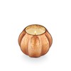 ILLUME Gilded Leaves Collection, Rustic Pumpkin, Mercury Pumpkin Candle