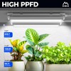 Barrina T8 Grow Lights for Indoor Plants, 5000K White Full