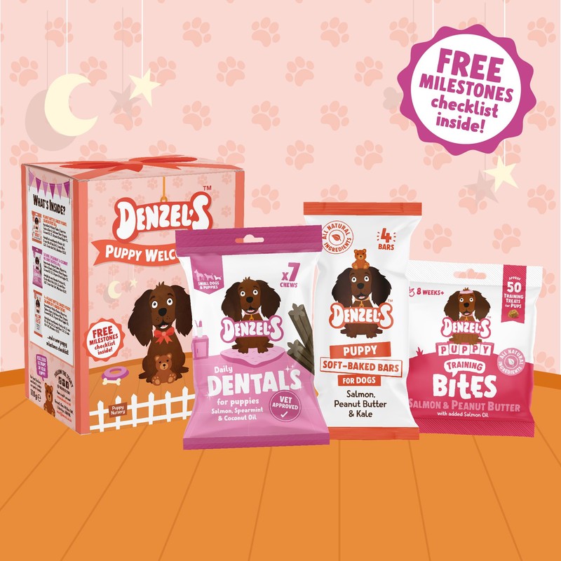 Denzel's Denzel's All Natural Treats Welcome Kit - Bites, Daily