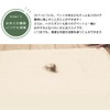 Dust Mite Resistant Mattress Futon Cover, Single, 41.3 x 84.6