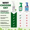 Mighty Mint Peppermint Plant Protection Spray for Insects, Gnats, Fungus,