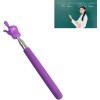 NoBrand Retractable Pointer Stick for Teaching, Presentation, Object Instruction