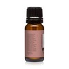 Sandalwood Premium Grade Fragrance Oil - 10ml - Scented Oil