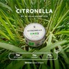 Velas de Citronela, Kit de 2 Velas Naturales de Soya