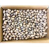 20 lbs - Texas Squirrel Pecans Inshell | Pecans.com |