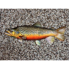 Brown Trout Replica -24 Inch 2D Metal Realistic Brown Trout Fish Art