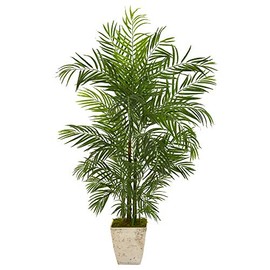 Nearly Natural 63in. Areca Artificial Palm Tree in Country White Planter UV Resistant (Indoor/Outdoor)