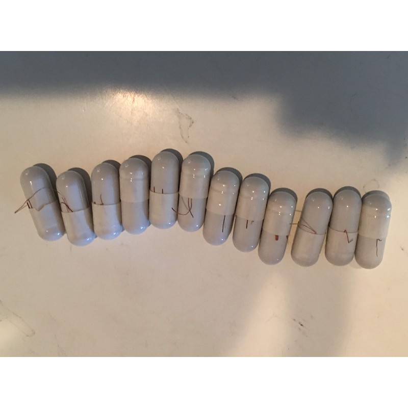 BULBINE NATALENSIS - MAX Strength - 400 MGS Per Serving