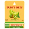 Burt's Bees 100% Natural Origin Moisturising Lip Balm, Kiwi Melon