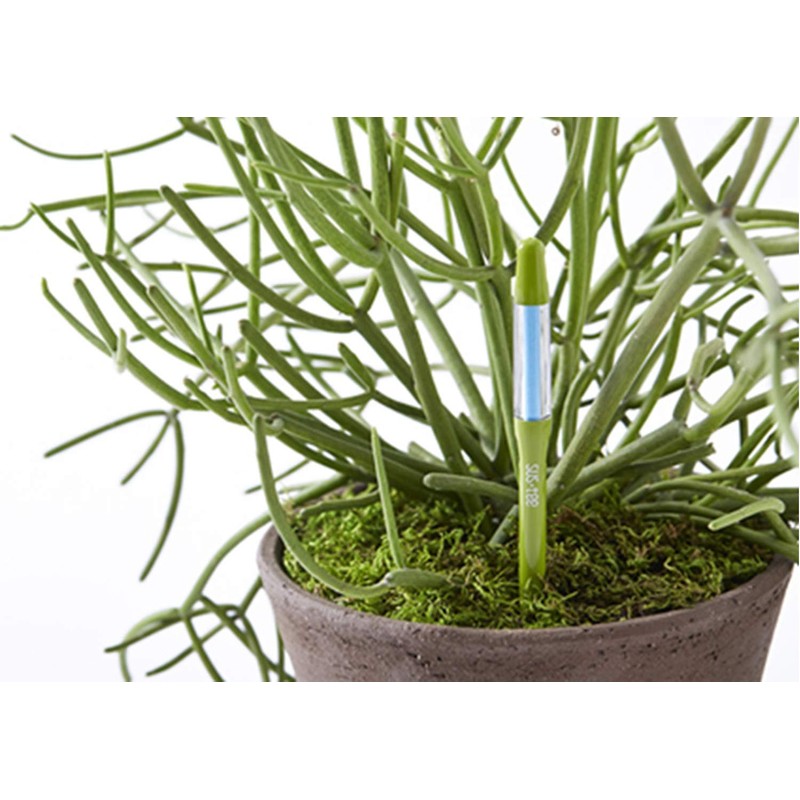 キャビノチェ サスティー Mサイズ グリーン IP-S25-180G