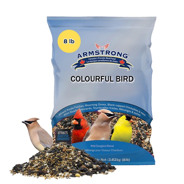 Armstrong Wild Bird Food Colourful Blend, 8 Pounds - with