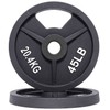 Signature Fitness Cast Iron Plate Weight Plate for Strength Training
