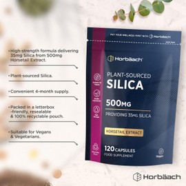 Silica Supplement 500mg | High Strength Silica from Horsetail Extract | 120 Powder Capsules | Vegan | 4 Month Supply | by Horbaach