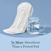 Rael Incontinence Pads for Women, Organic Cotton Cover, Postpartum Essential,