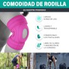 Rodillera Ortopedica Ortop?dica