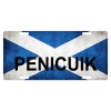 Fast Service Designs Scotland Flag Car License Plate Saint Andrew's