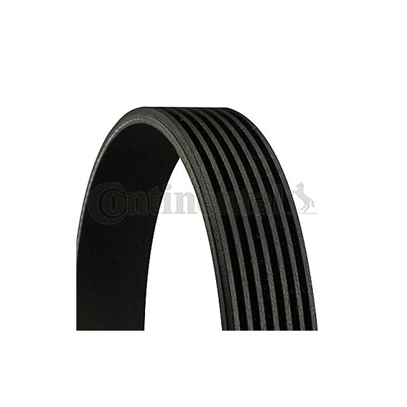 Continental 7PK1051ELAST V-Ribbed Belt Loose