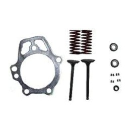 Generac - RETAINER VALVE KIT GN 220