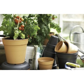 Elho Green Basics 11 Growpot, Indoors and Outdoors
