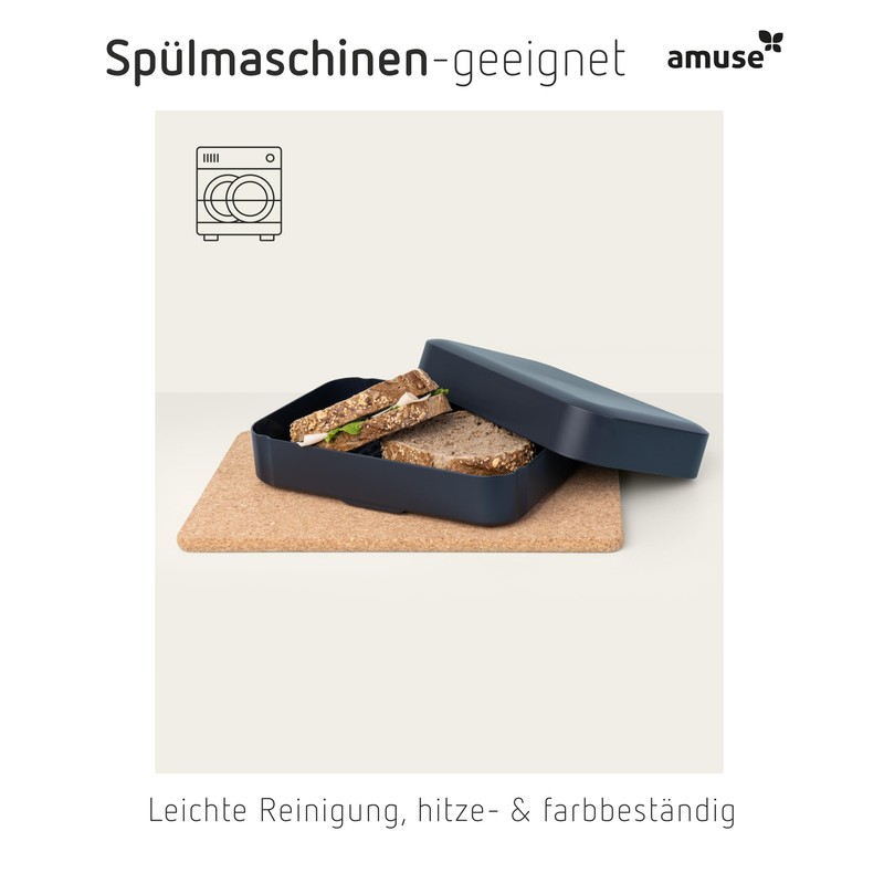 Amuse Sustainable Adult Lunch Box, Zero Waste 100% Recycled Plastic