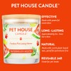 Pet House 9 oz Watermelon Mojito Scented Pet Odor Candle,