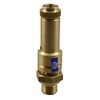 TÜV Safety Valve Pressure Relief Valve Compressor 11 Bar G