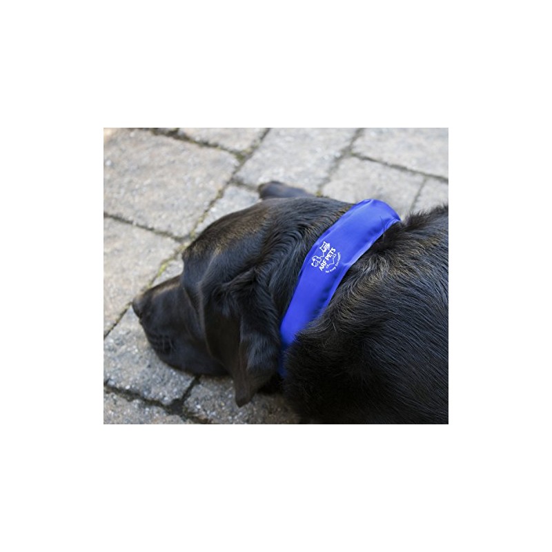 Arf Pets Dog Cooling Collar, 100% Non-Toxic Material, Relieves Heat