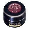 Pregel Gel Nail Color EX, Milky Carrot 300 purple berry