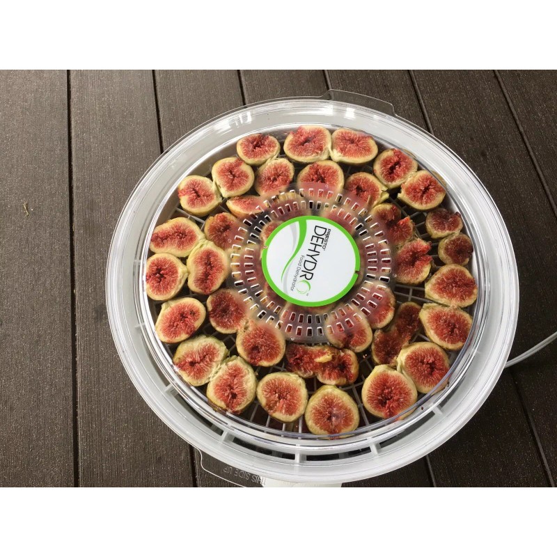 Hardy Chicago Organic Fig Tree 3 Cuttings ---Hardy Chicago