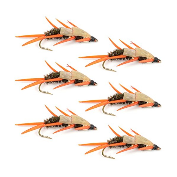 Double Bead Peacock Stonefly Nymph with Amber Biot Legs Fly